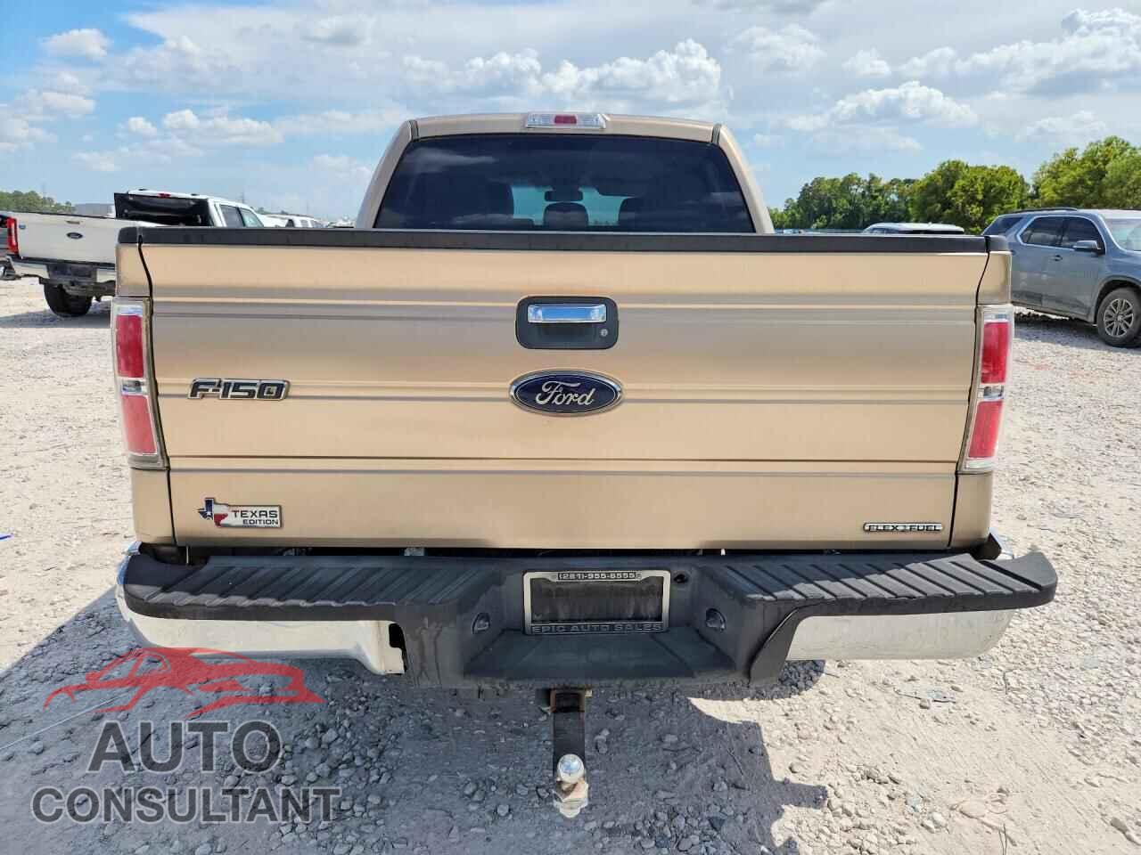 FORD F150 2013 - 1FTFW1CFXDFD55663