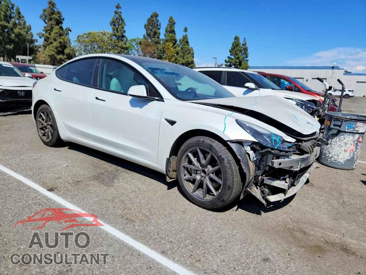 TESLA MODEL 3 2023 - 5YJ3E1EA1PF413904