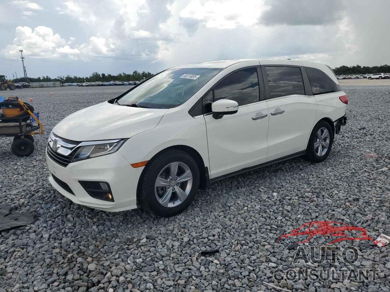 HONDA All Models 2019 - 5FNRL6H73KB001652