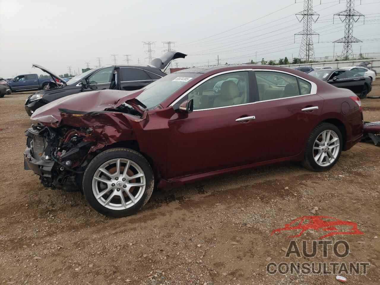 NISSAN MAXIMA 2009 - 1N4AA51E29C858242