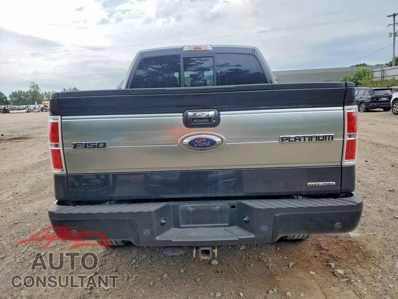 FORD F150 2013 - 1FTFW1EF1DFD25433
