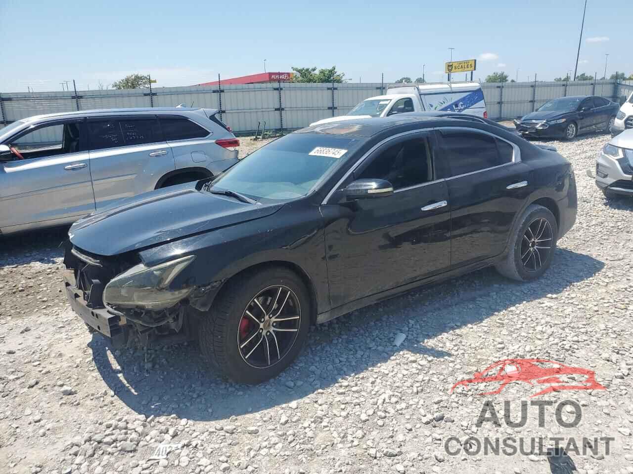 NISSAN MAXIMA 2010 - 1N4AA5AP6AC843880