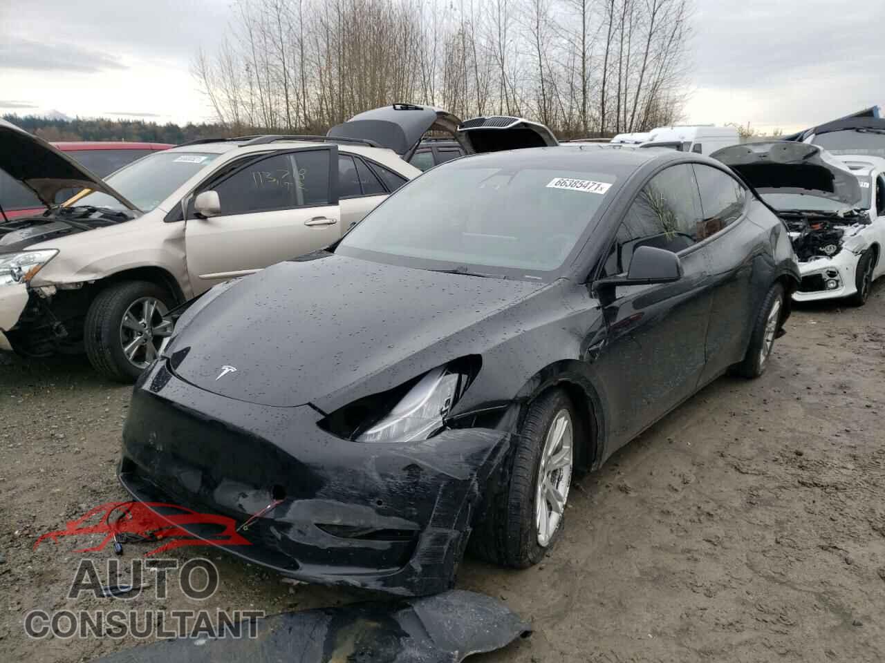 TESLA MODEL Y 2021 - 5YJYGDEE2MF095226