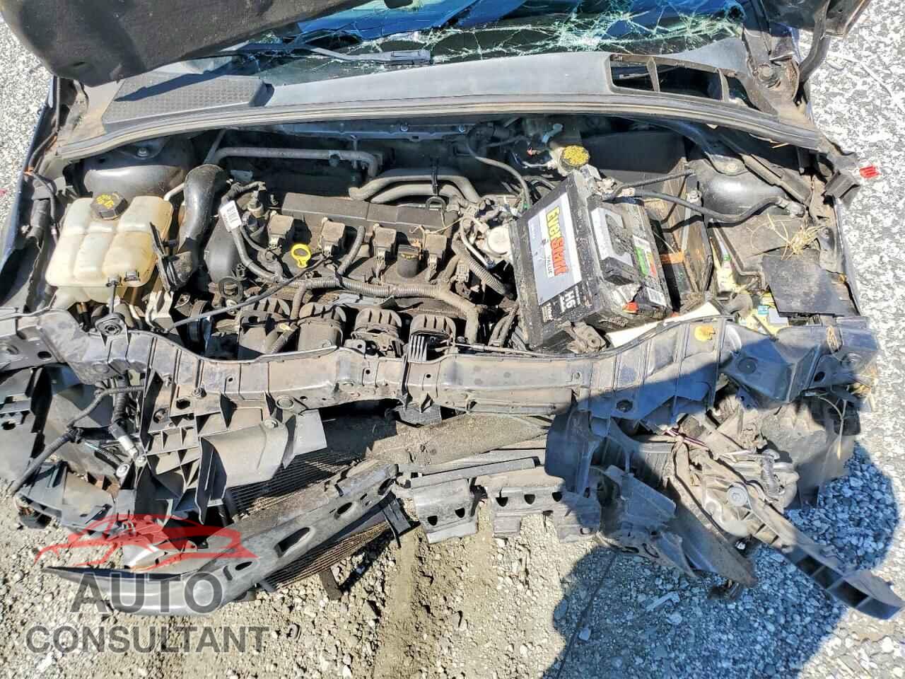 FORD FOCUS 2016 - 1FADP3K20GL350160
