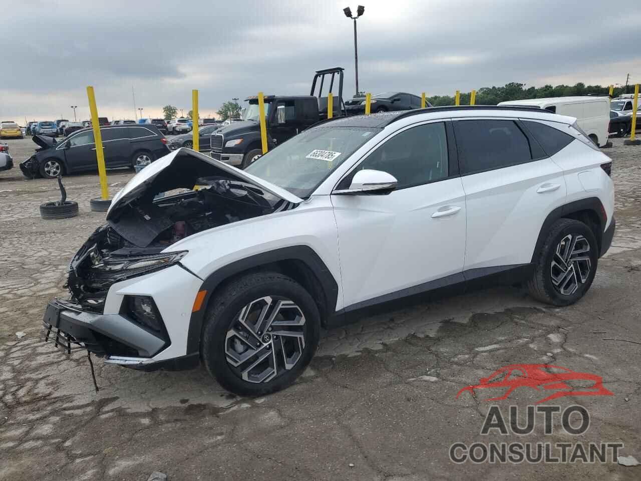 HYUNDAI TUCSON 2025 - KM8JEDD19SU267919
