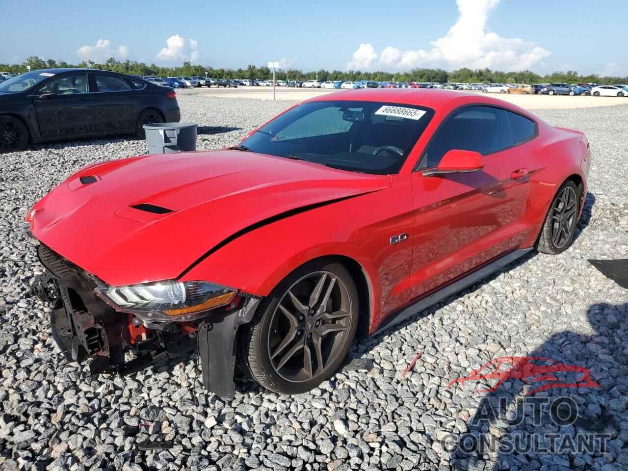 FORD MUSTANG 2019 - 1FA6P8CF2K5129518