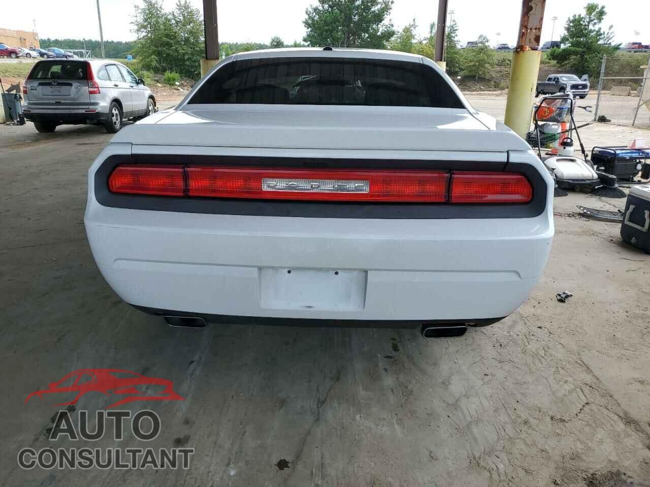 DODGE CHALLENGER 2013 - 2C3CDYAG3DH511252