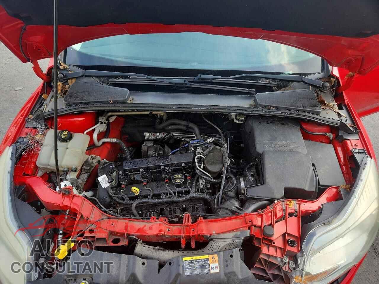 FORD FOCUS 2014 - 1FADP3F21EL215616