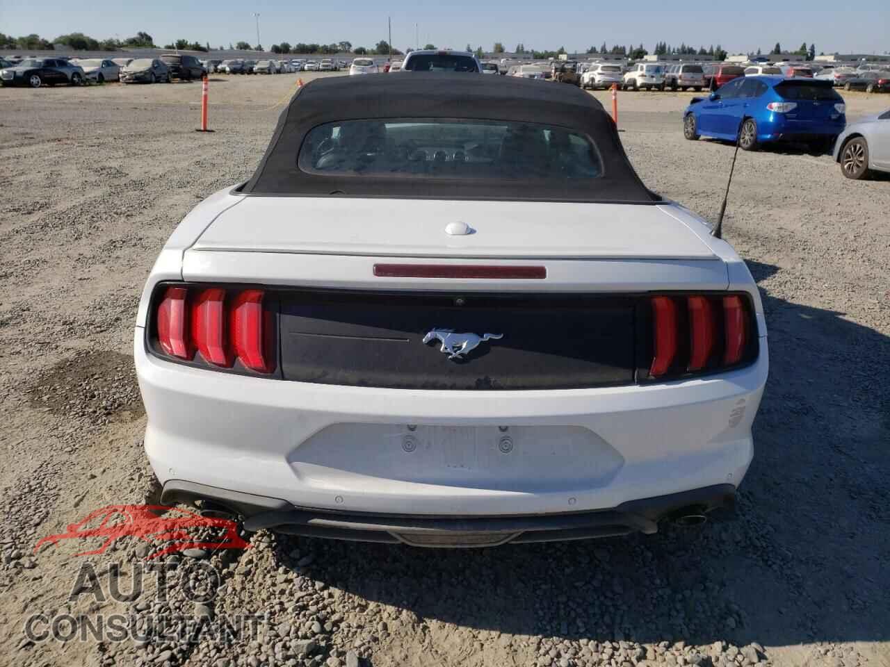 FORD ALL Models 2019 - 1FATP8UH5K5126261