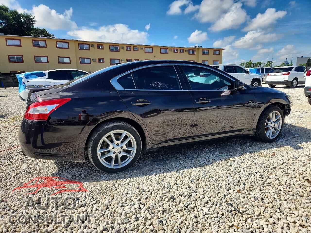 NISSAN MAXIMA 2010 - 1N4AA5AP8AC856274