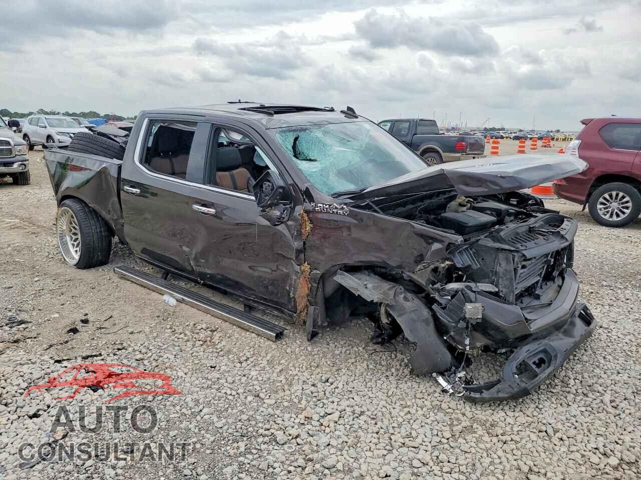 CHEVROLET SILVERADO 2020 - 3GCUYHEL9LG287169