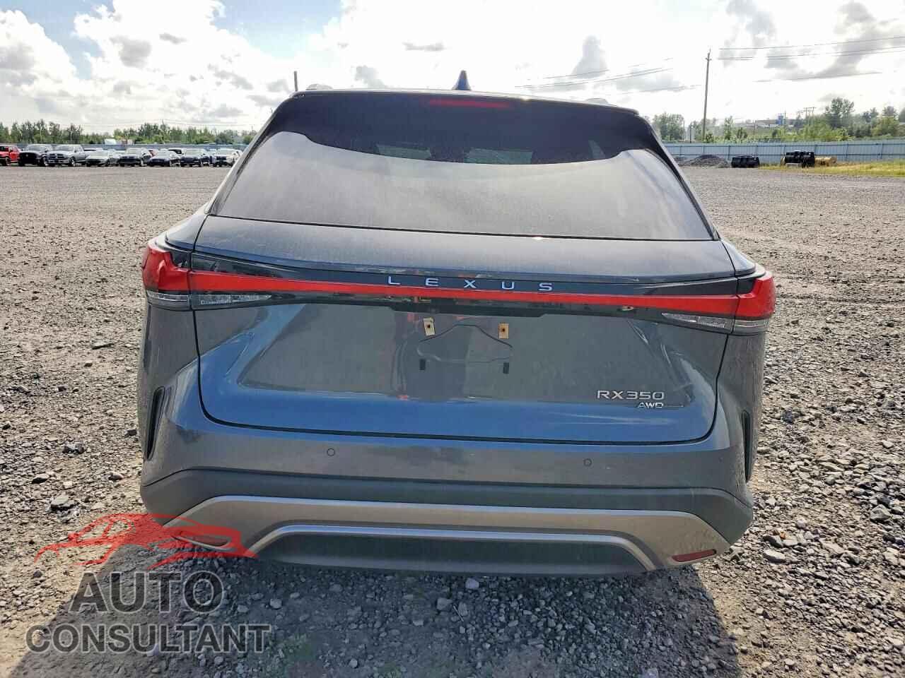 LEXUS RX350 2024 - 2T2BAMCA7RC052385