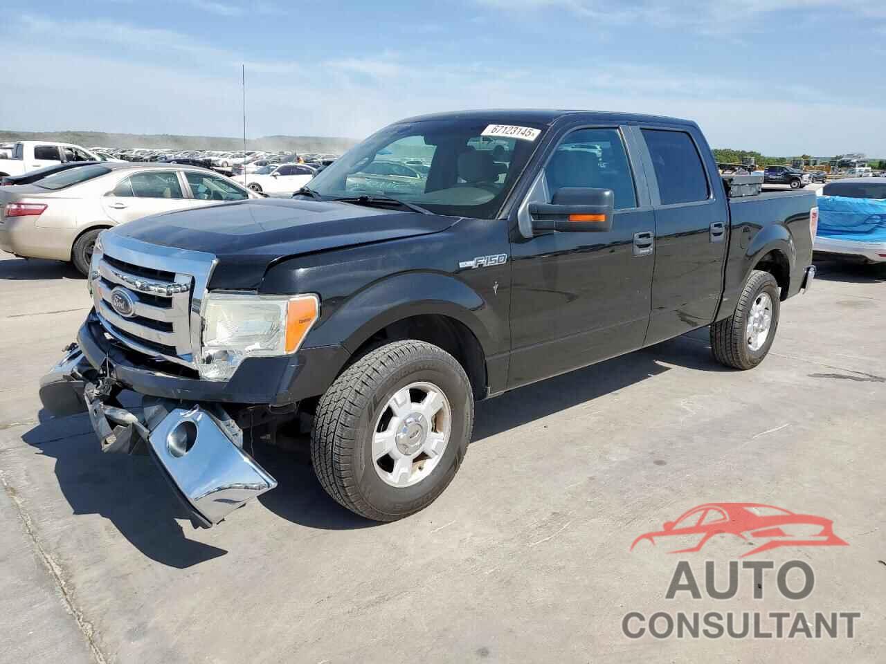 FORD F-150 2010 - 1FTEW1C89AKA67049