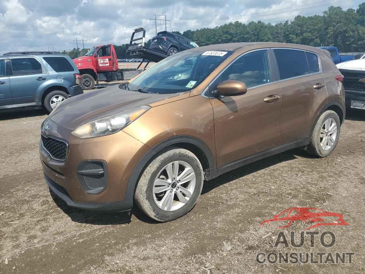 KIA SPORTAGE 2017 - KNDPM3AC4H7088373