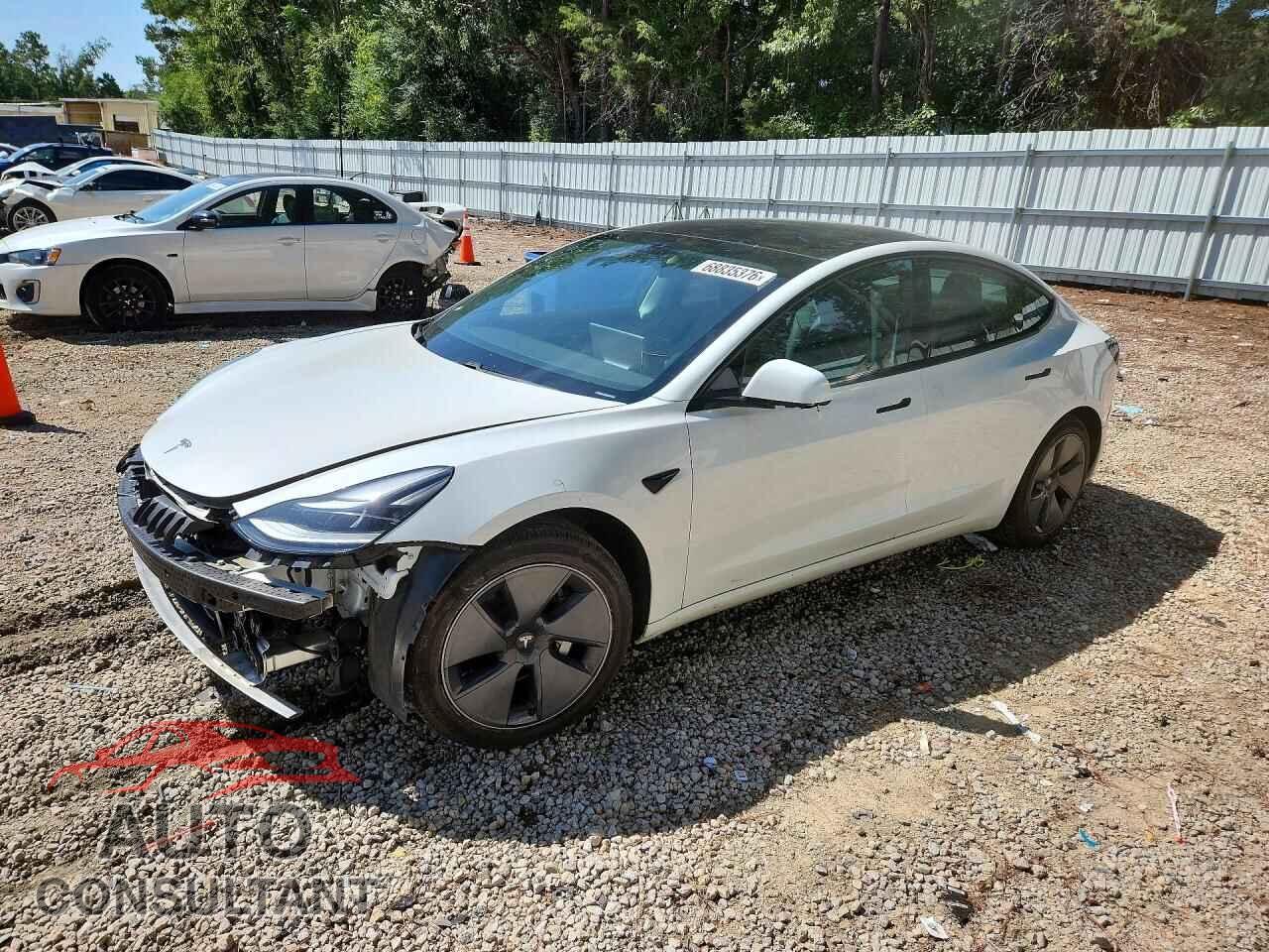 TESLA MODEL 3 2021 - 5YJ3E1EA3MF042241