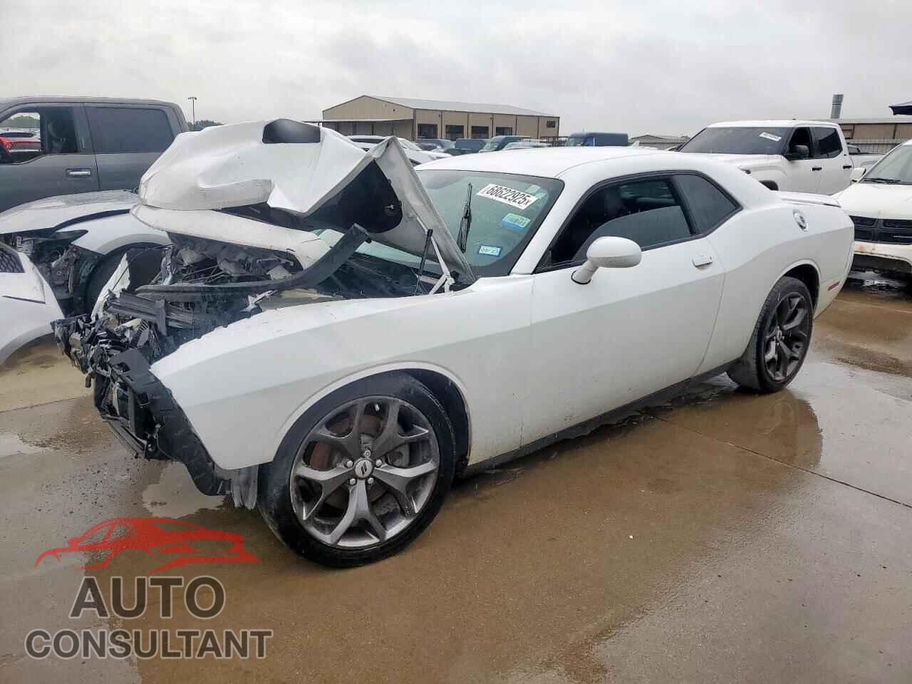 DODGE CHALLENGER 2019 - 2C3CDZAG9KH751487