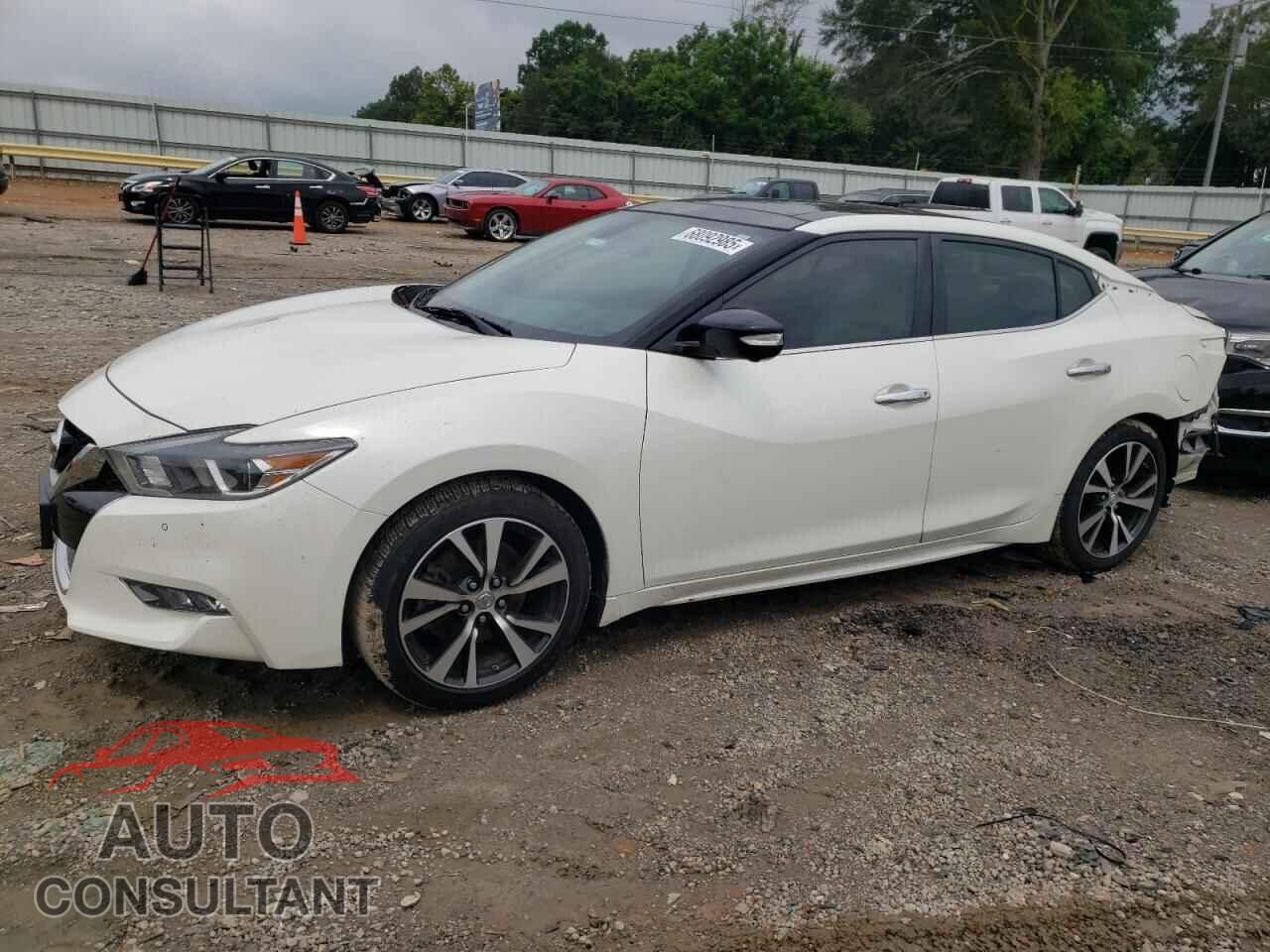 NISSAN MAXIMA 2017 - 1N4AA6AP2HC424084