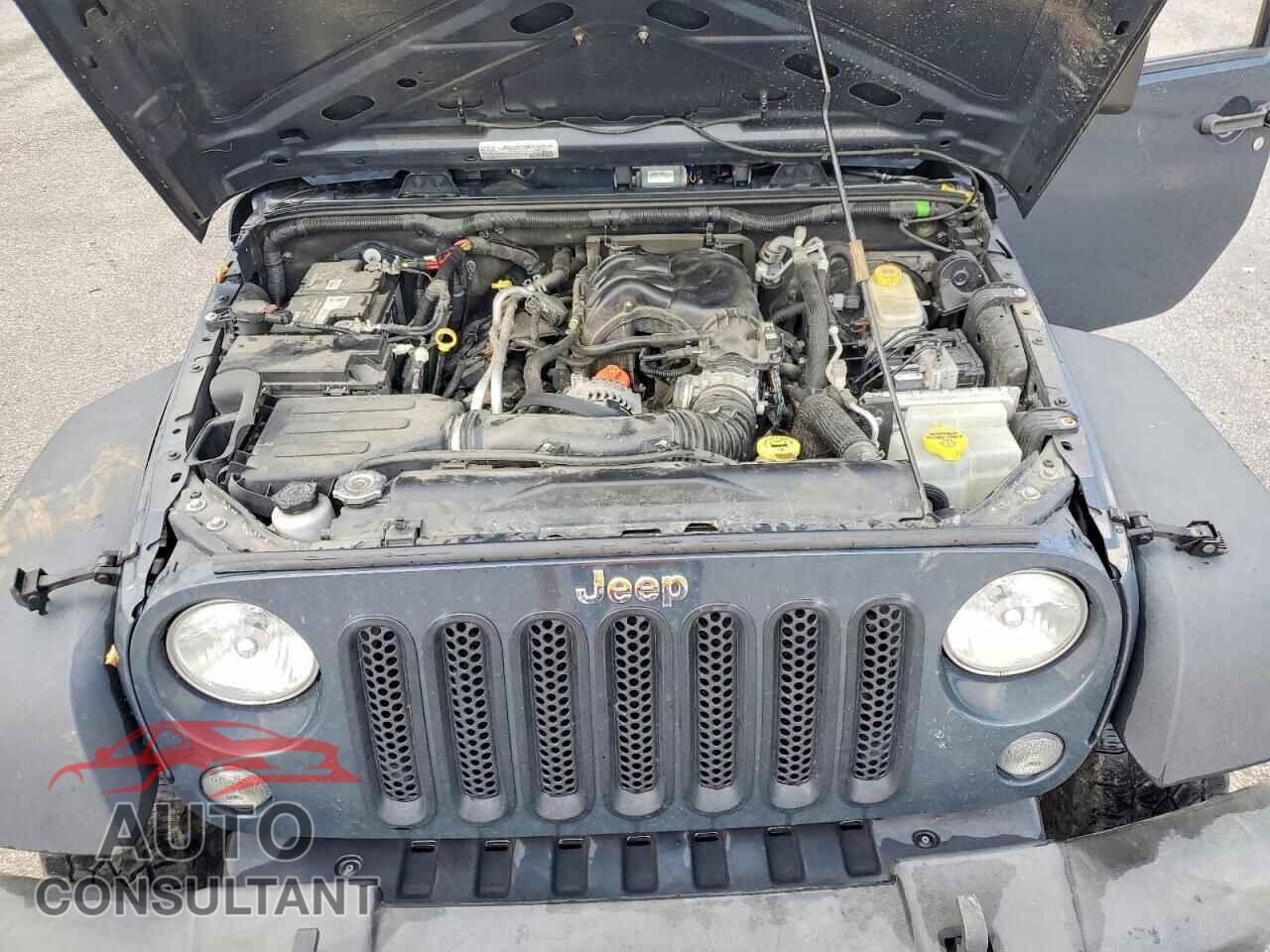 JEEP WRANGLER 2017 - 1C4BJWDG3HL542316