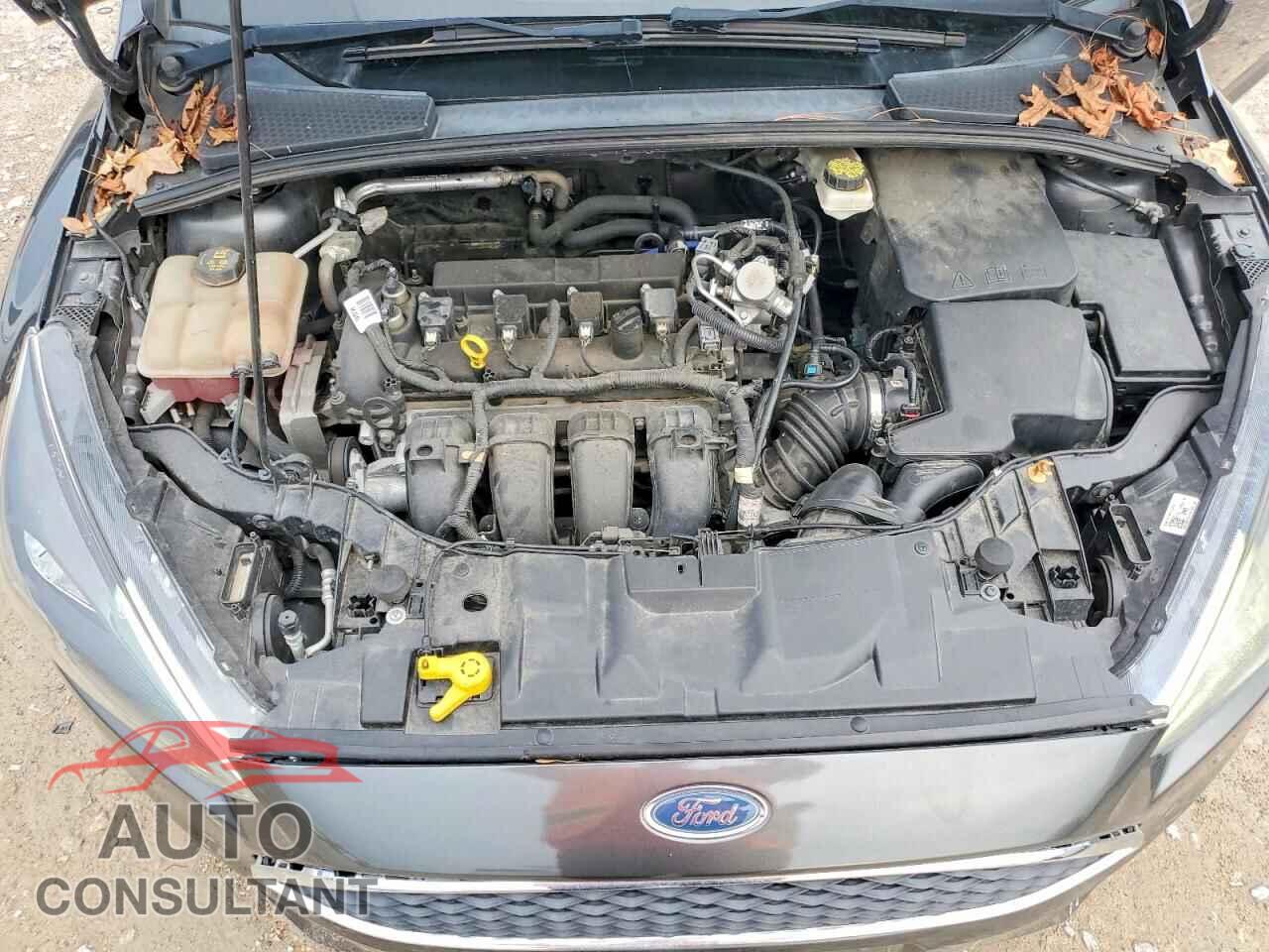 FORD FOCUS 2017 - 1FADP3M24HL289619