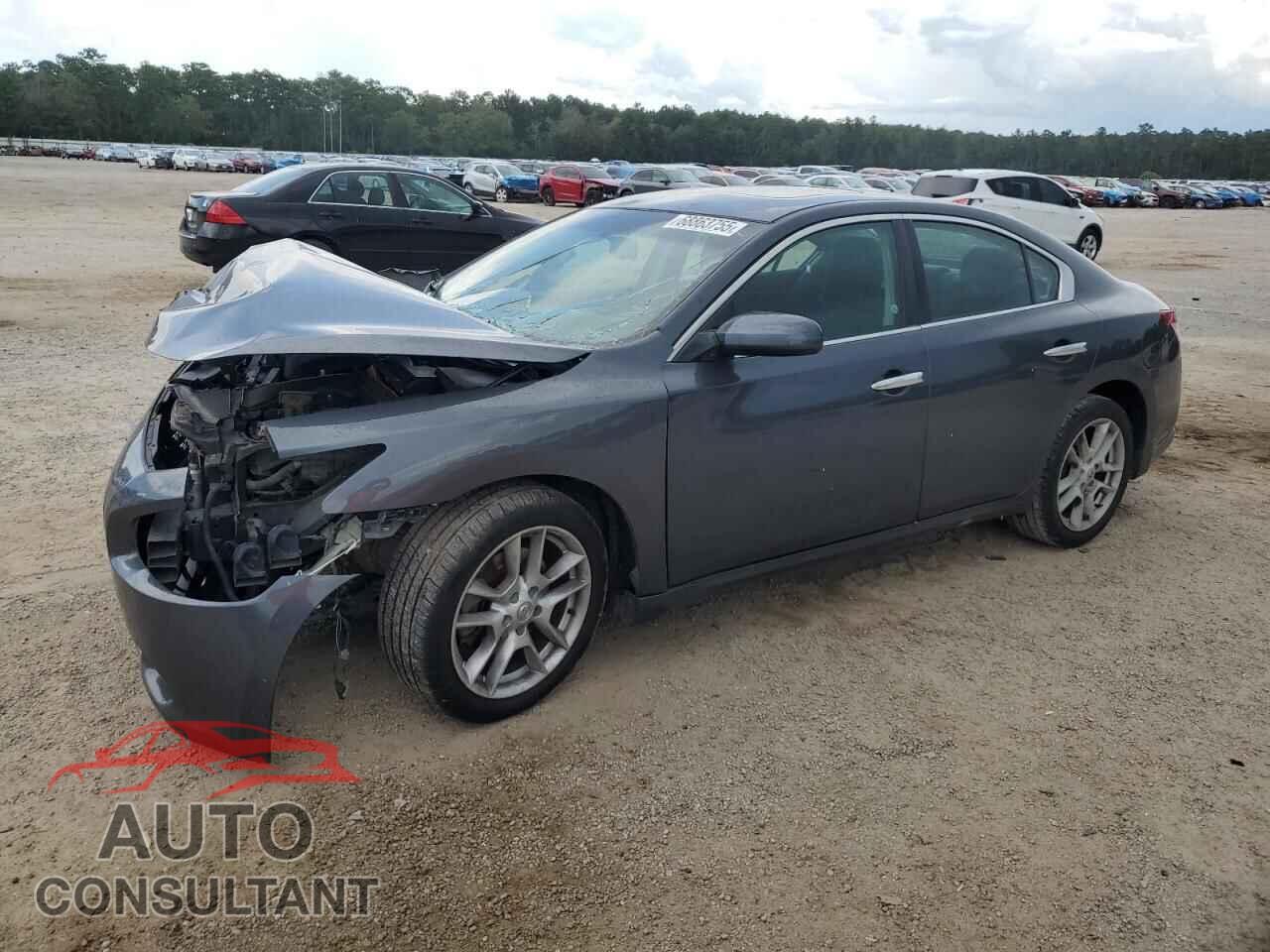 NISSAN MAXIMA 2011 - 1N4AA5AP8BC817055