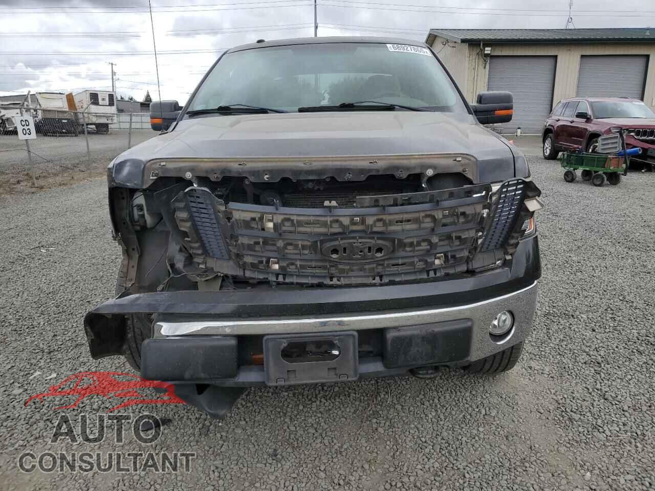 FORD F-150 2010 - 1FTFW1EV7AKB59820