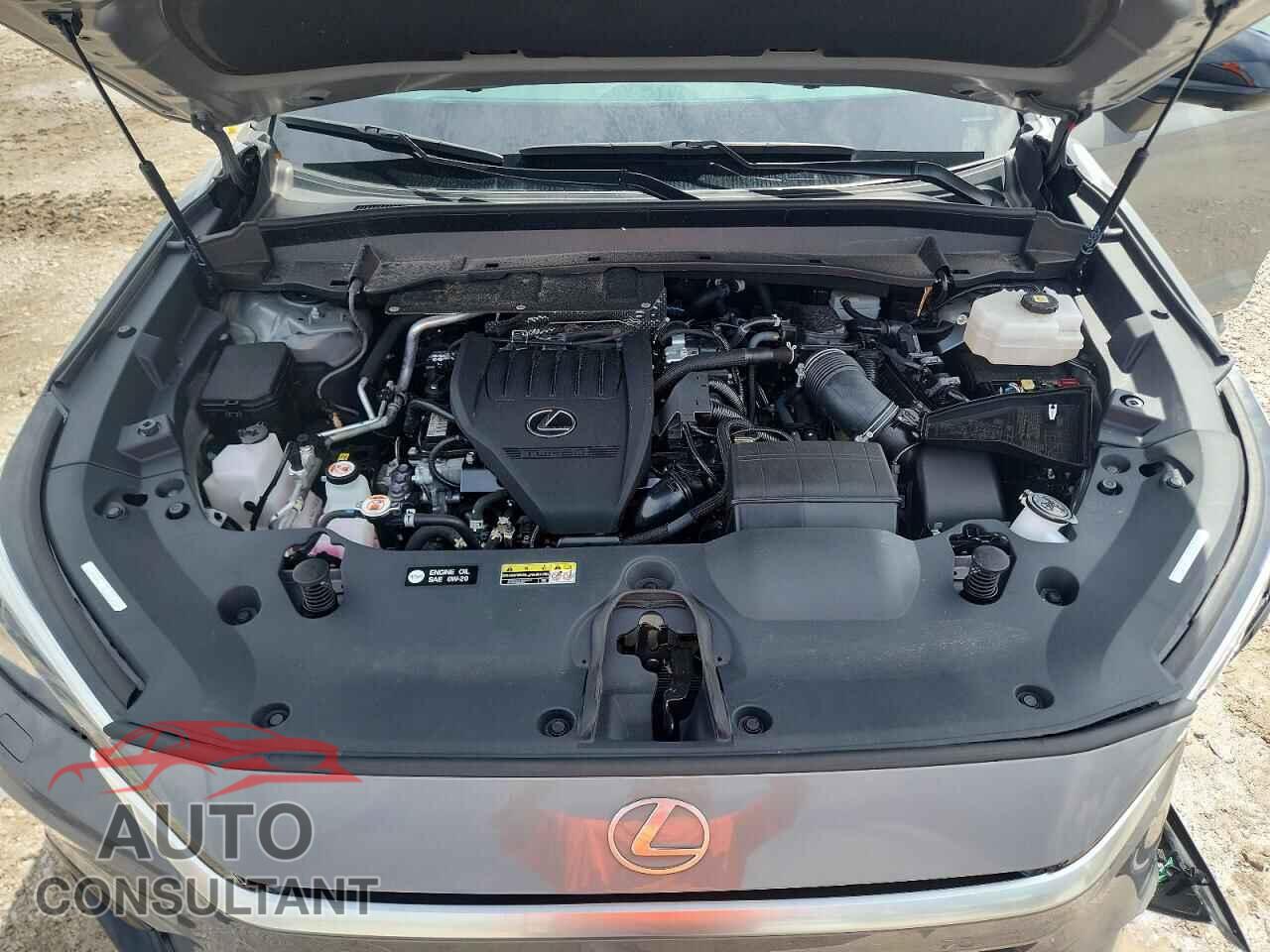 LEXUS TX500H 2025 - 5TDABAB68SS008224
