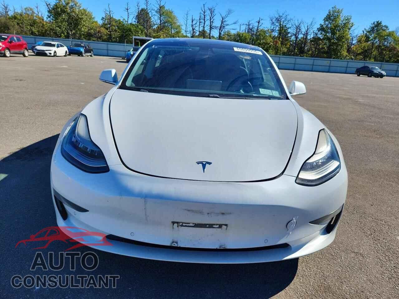 TESLA MODEL 3 2019 - 5YJ3E1EA5KF447532