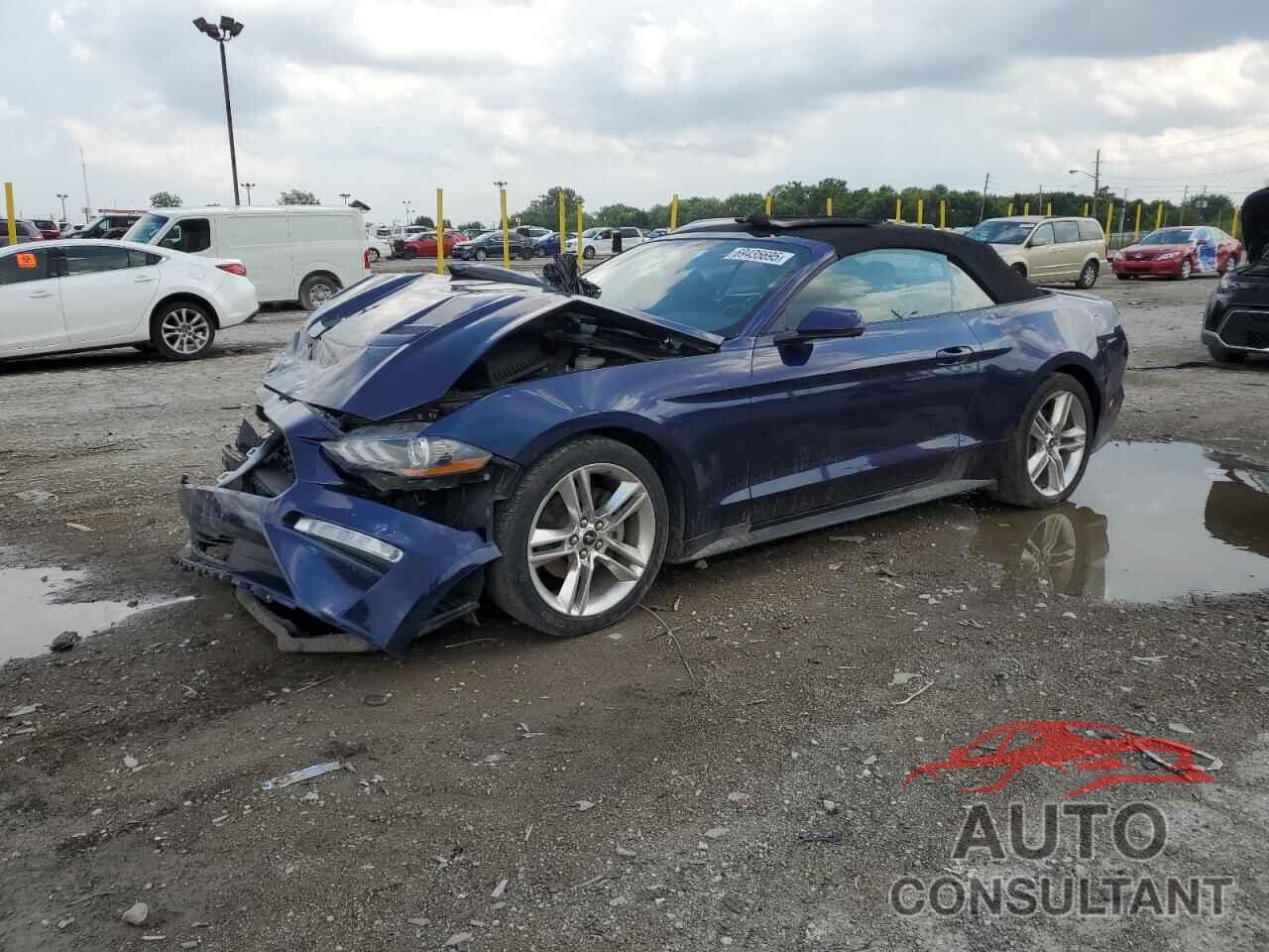 FORD ALL Models 2019 - 1FATP8UH9K5108538