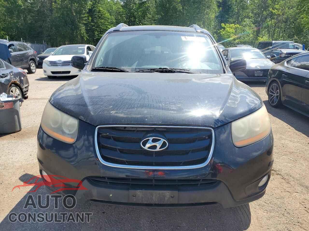 HYUNDAI SANTA FE 2010 - 5NMSG4AG0AH411780