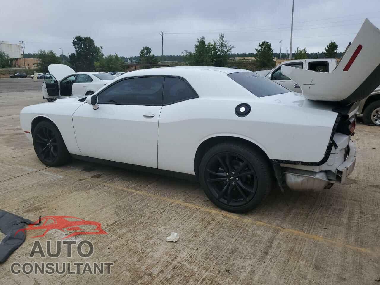 DODGE CHALLENGER 2017 - 2C3CDZAG3HH574346