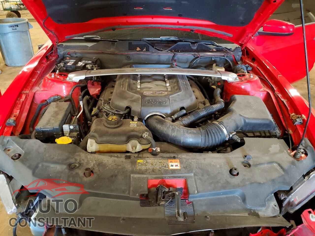 FORD MUSTANG 2011 - 1ZVBP8FF6B5117048