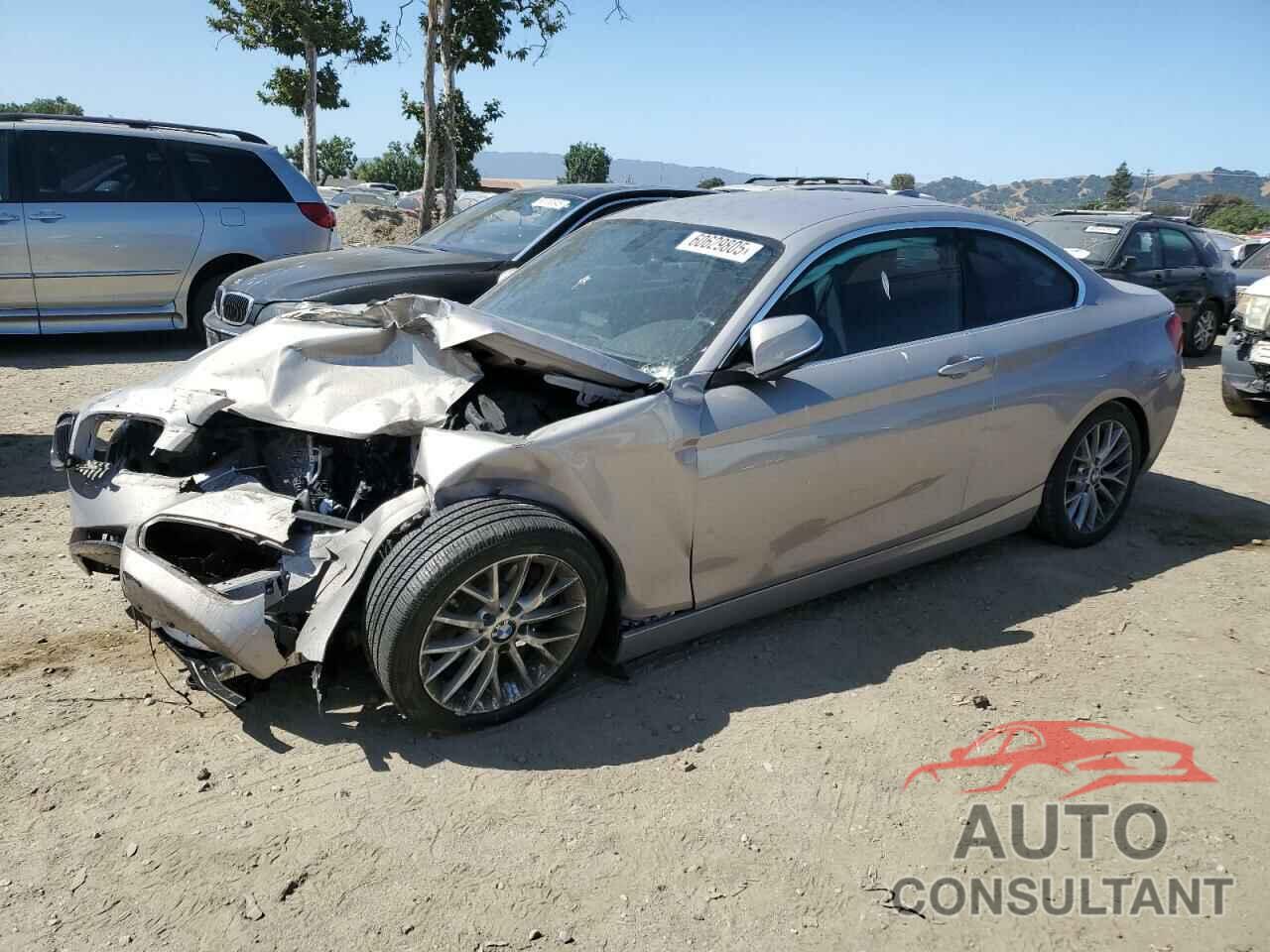 BMW 2 SERIES 2016 - WBA1F9C53GV545568