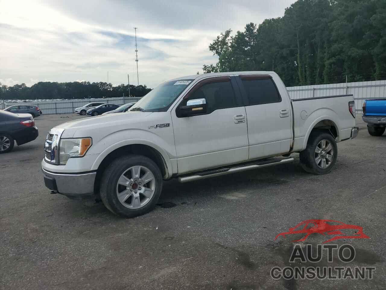 FORD F-150 2010 - 1FTFW1EV5AFD06127