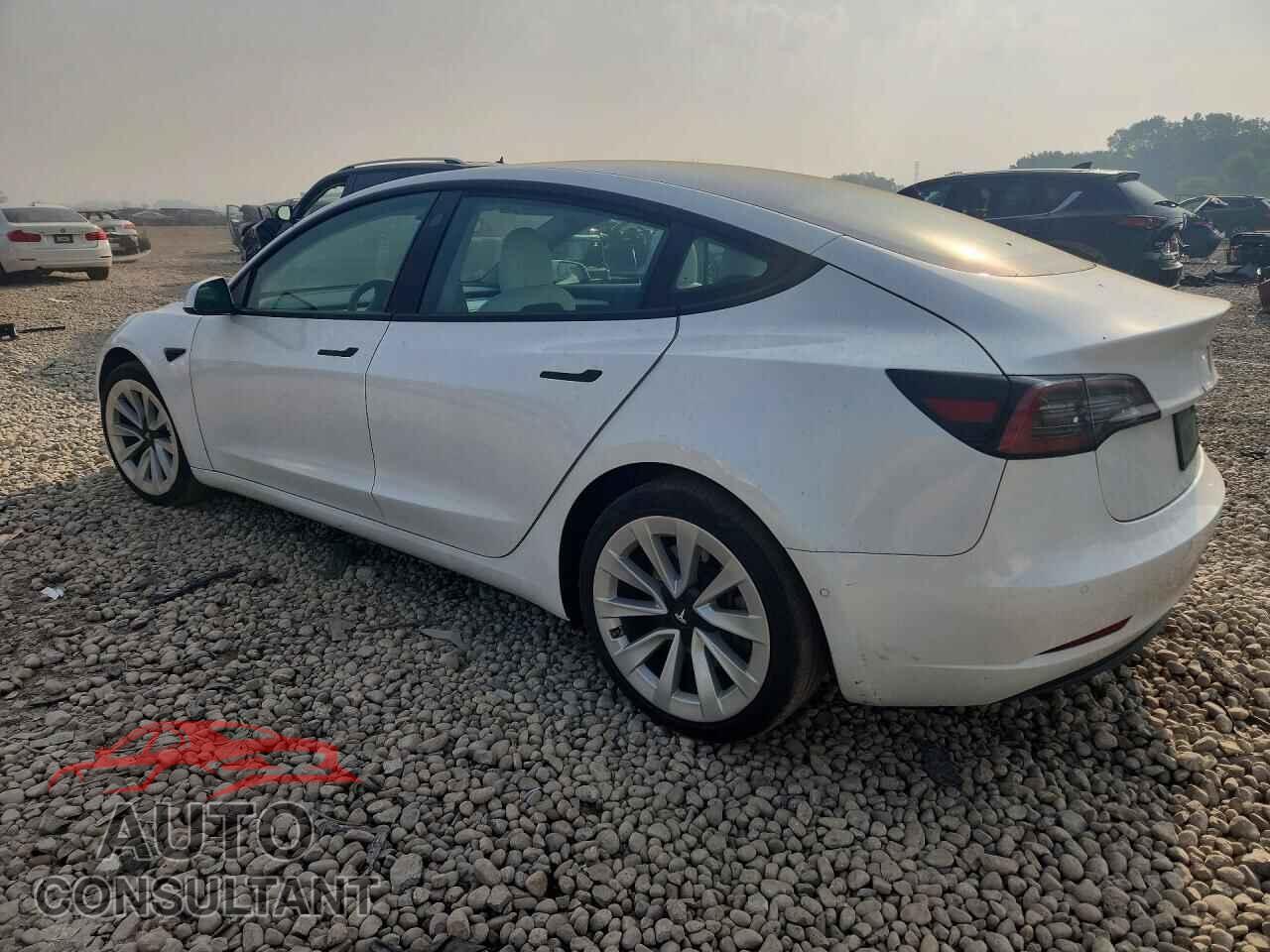 TESLA MODEL 3 2021 - 5YJ3E1EB5MF077565