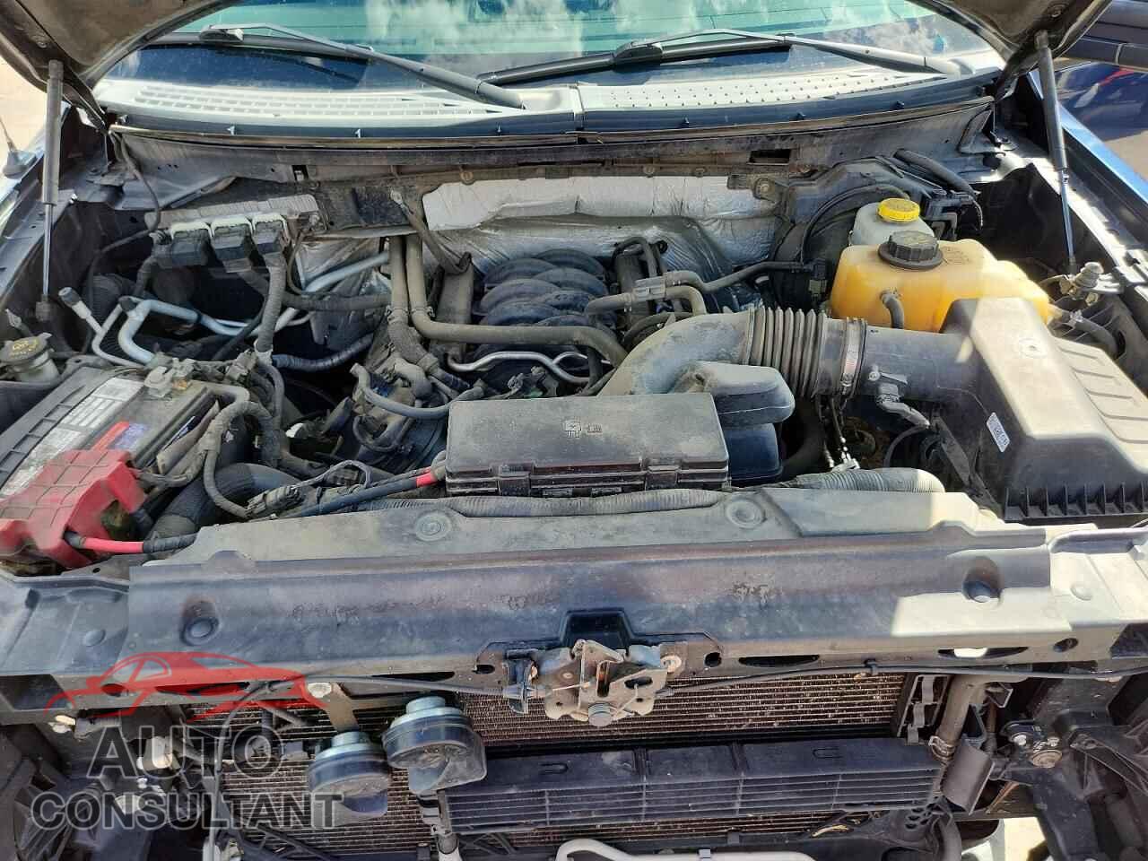 FORD All Models 2014 - 1FTFW1EF8EFB34030