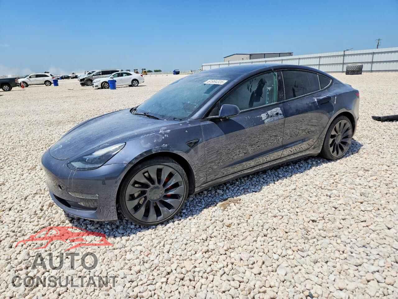 TESLA MODEL 3 2021 - 5YJ3E1EC8MF020446
