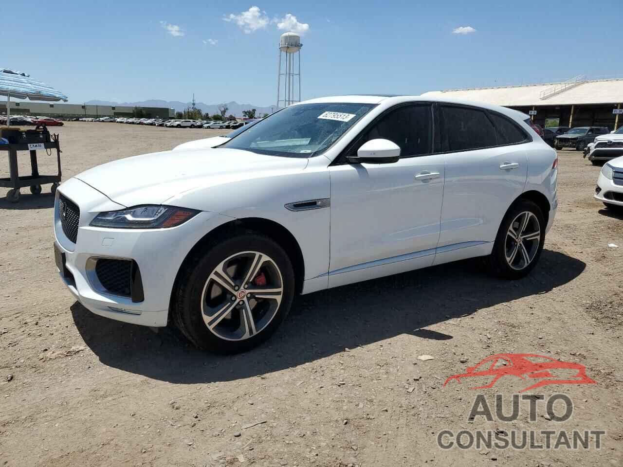 JAGUAR F-PACE 2019 - SADCM2FV9KA601795