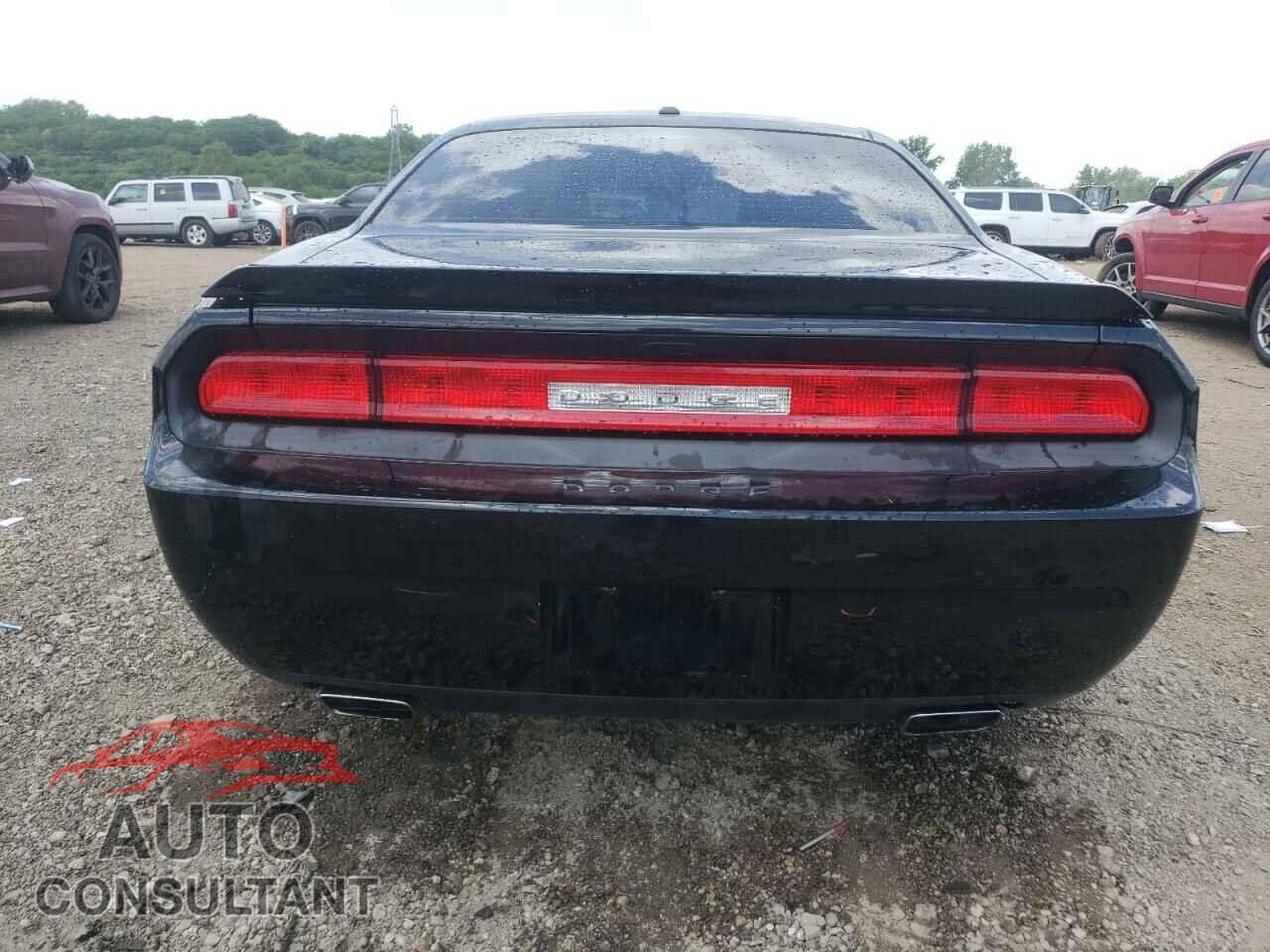 DODGE CHALLENGER 2014 - 2C3CDYBTXEH139955