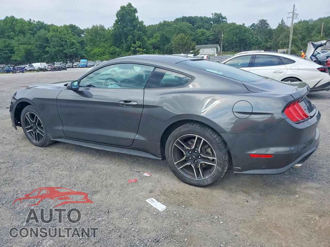 FORD MUSTANG 2019 - 1FA6P8TH5K5197281