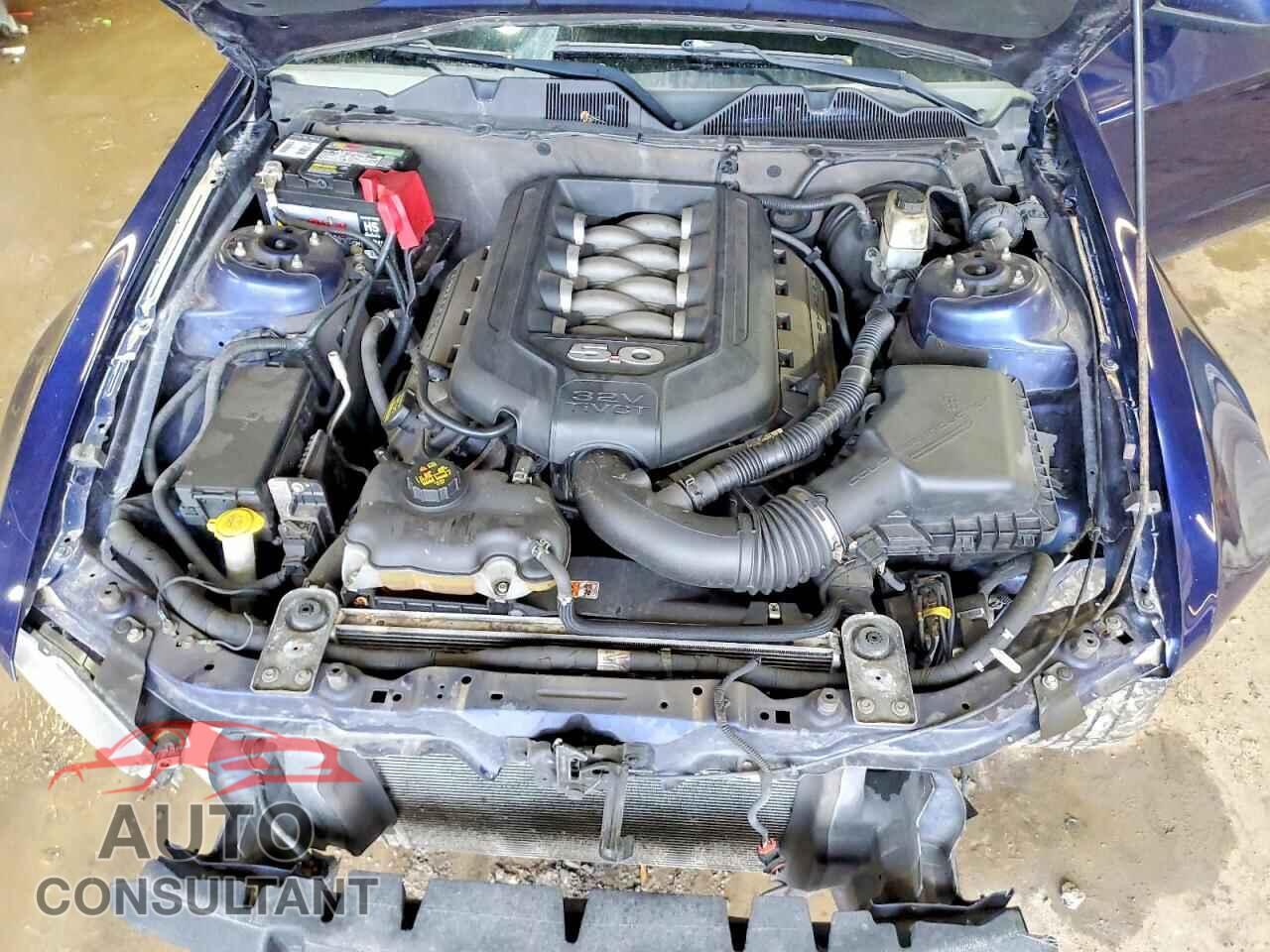 FORD MUSTANG 2012 - 1ZVBP8CF1C5261385