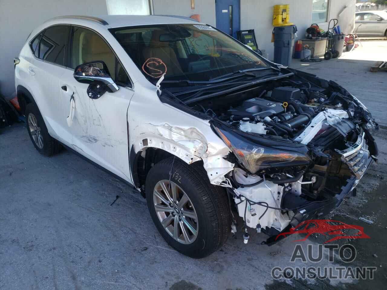 LEXUS NX 2021 - JTJDARBZ2M5028080