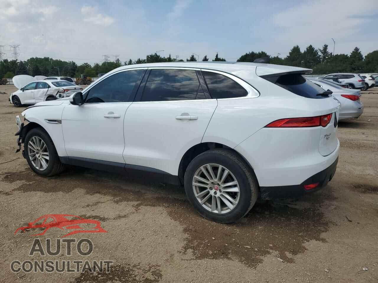JAGUAR F-PACE 2020 - SADCK2GX2LA635178