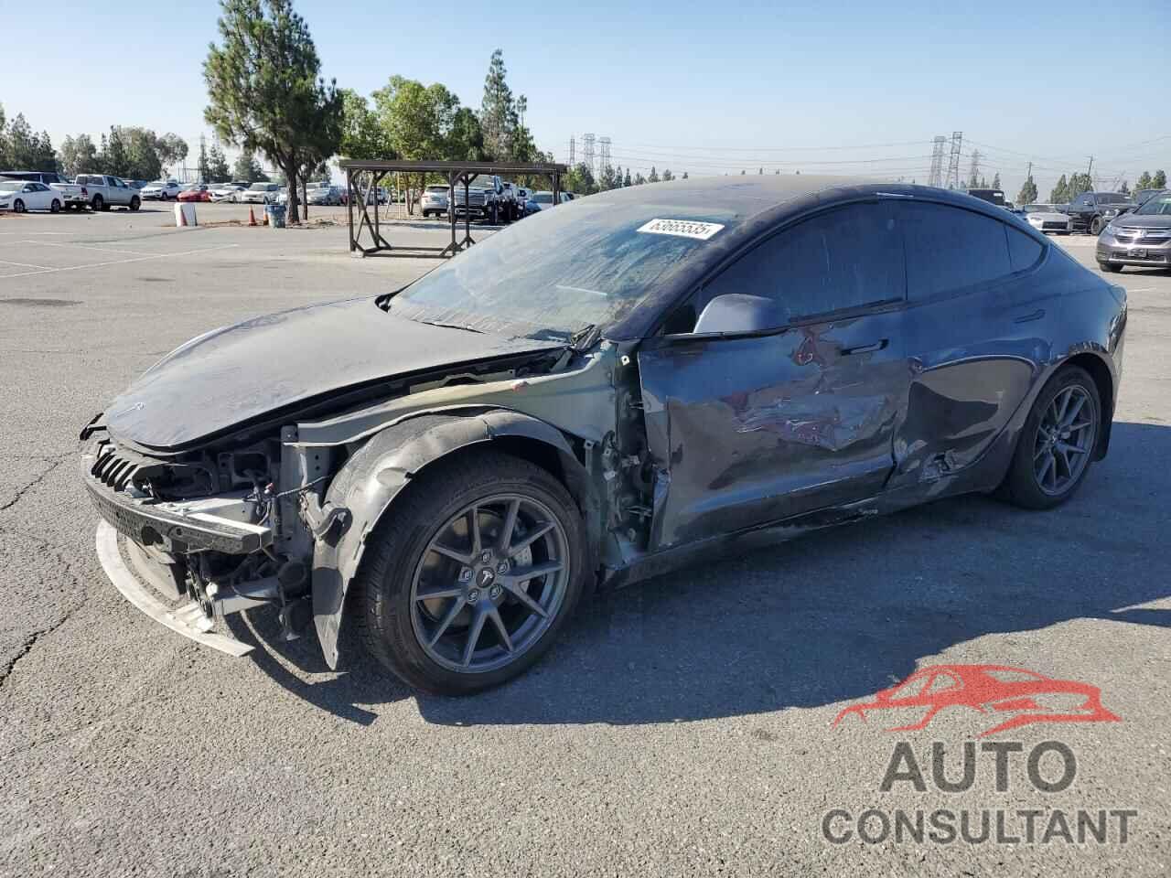 TESLA MODEL 3 2022 - 5YJ3E1EB2NF205441