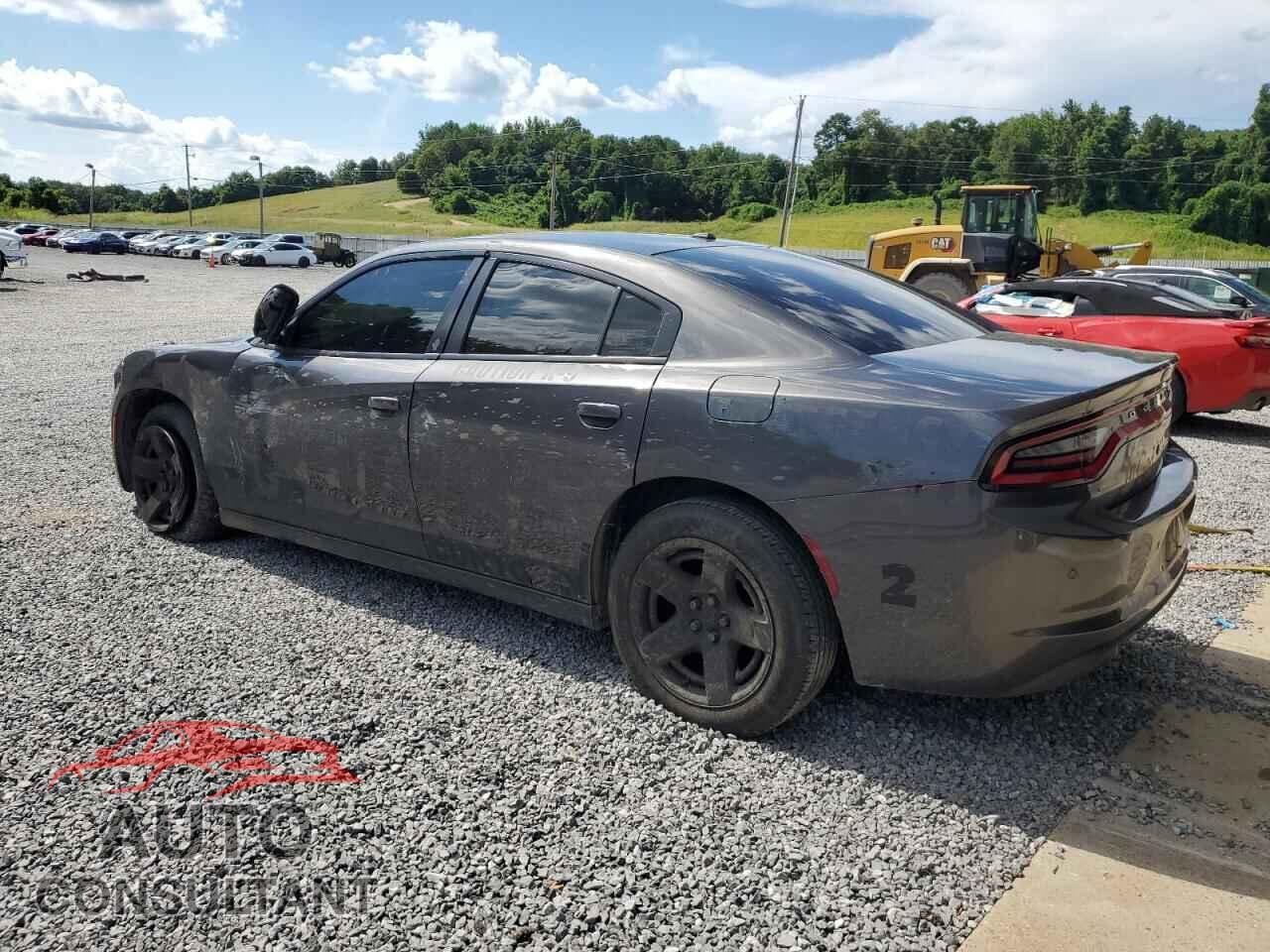 DODGE CHARGER 2019 - 2C3CDXAT3KH599031