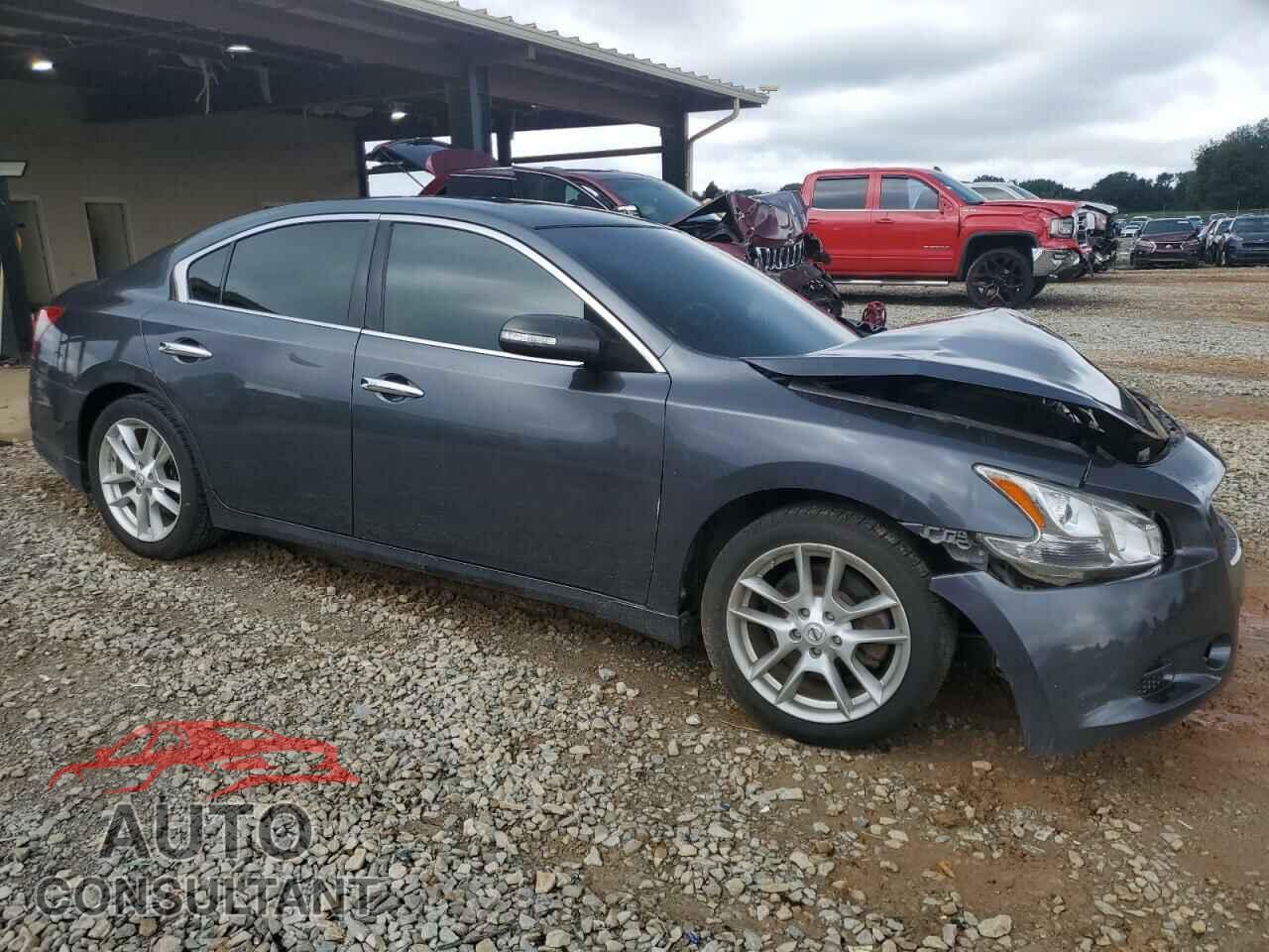 NISSAN MAXIMA 2011 - 1N4AA5AP3BC819781