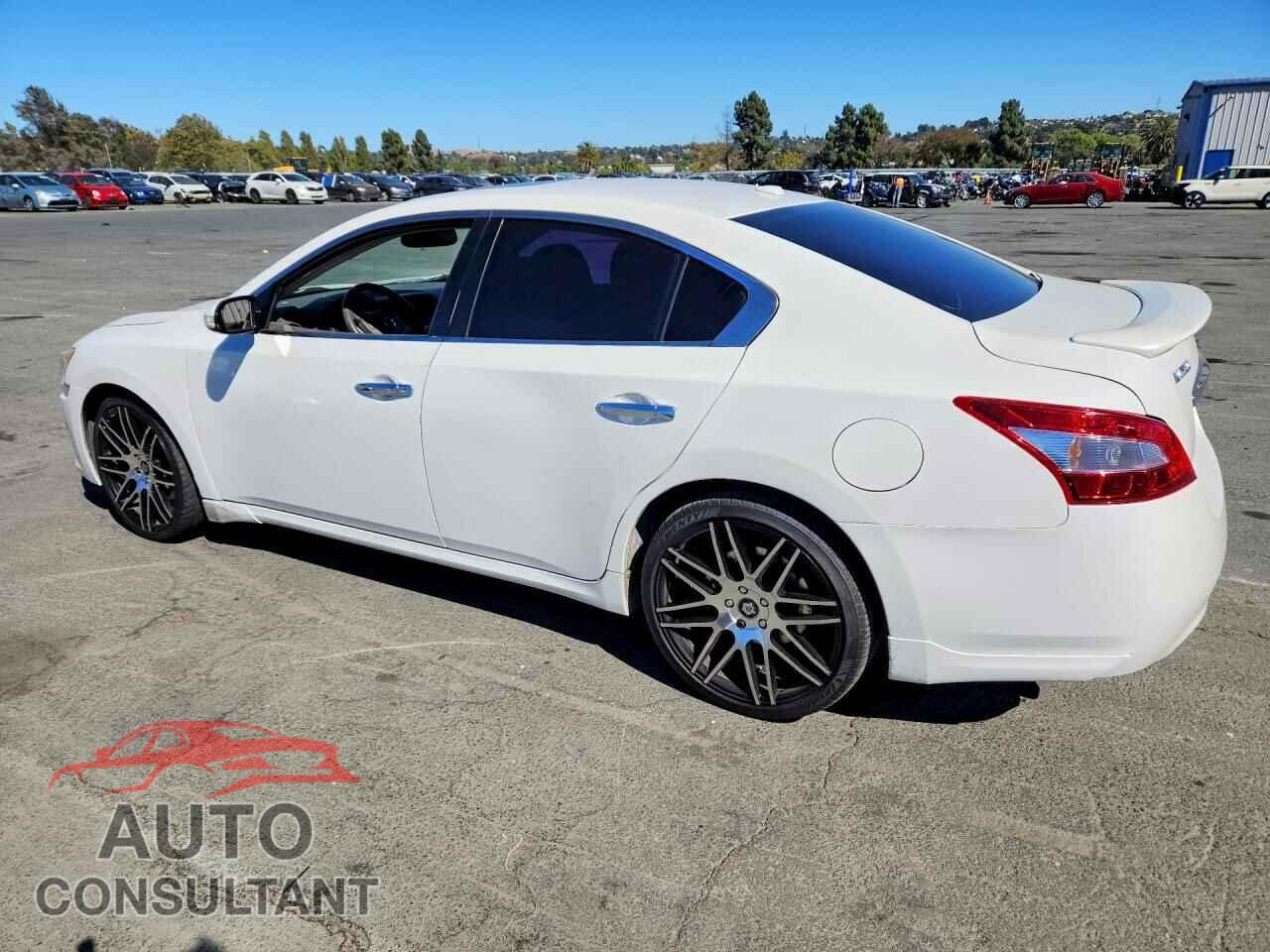 NISSAN MAXIMA 2009 - 1N4AA51E89C802449