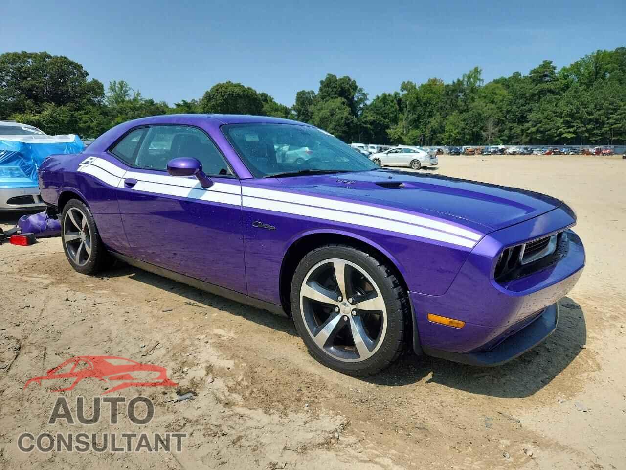 DODGE CHALLENGER 2013 - 2C3CDYBTXDH674962