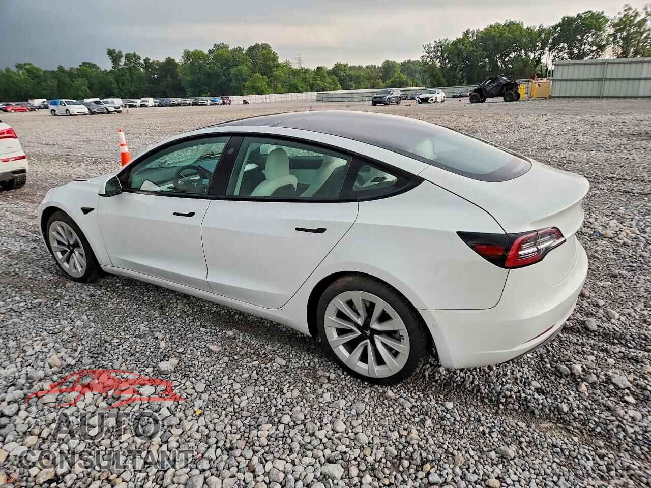 TESLA MODEL 3 2021 - 5YJ3E1EA1MF874581