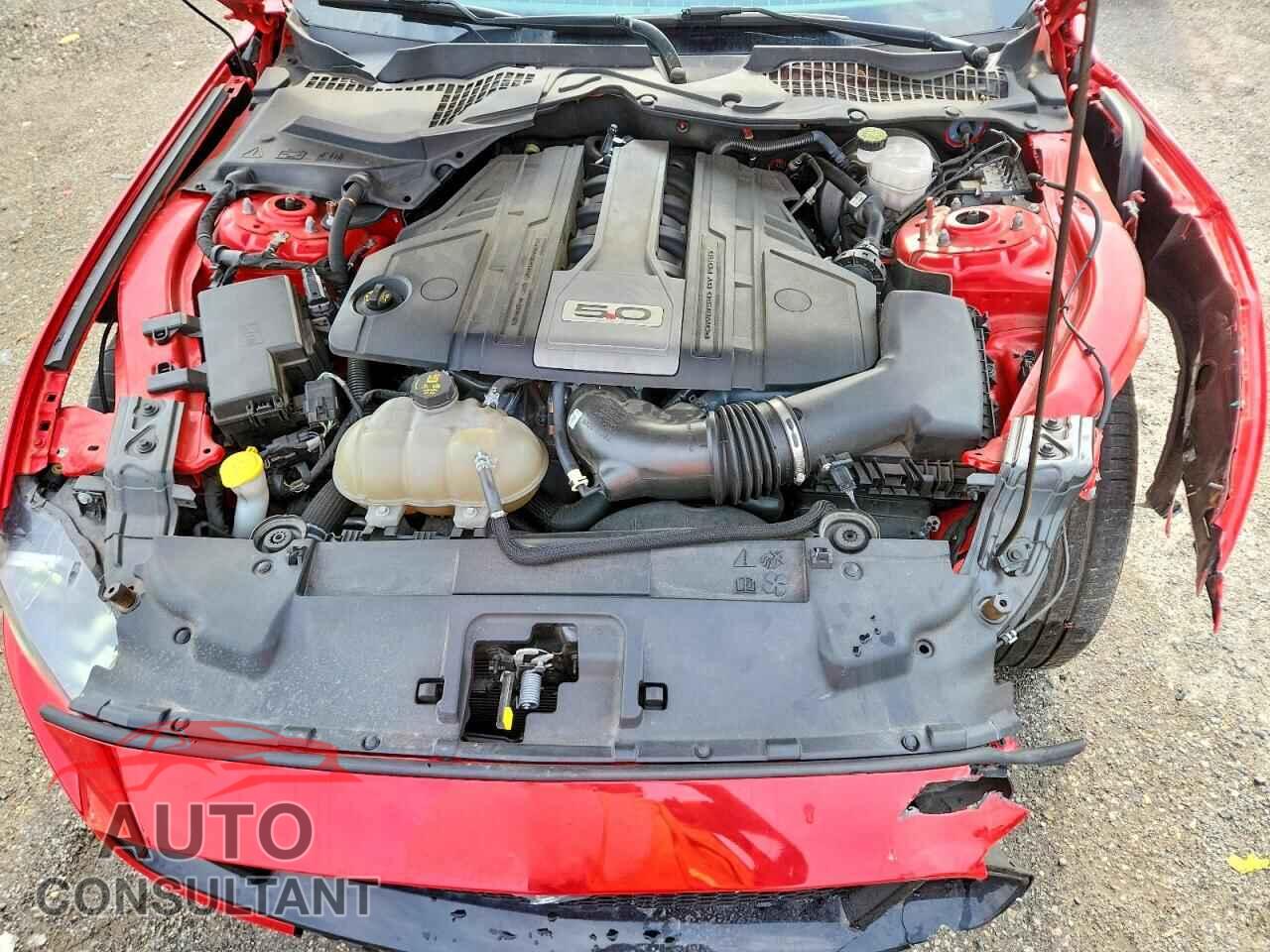 FORD MUSTANG 2019 - 1FA6P8CF9K5146588
