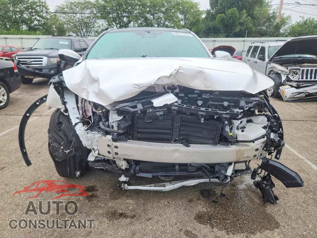 LEXUS UNKNOWN 2024 - 2T2BBMCA9RC035973